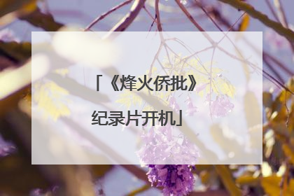 《烽火侨批》纪录片开机