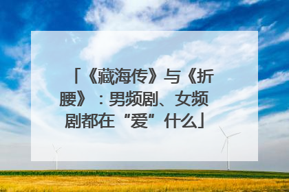 《藏海传》与《折腰》：男频剧、女频剧都在“爱”什么