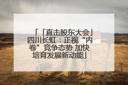 「直击股东大会」四川长虹：正视“内卷”竞争态势 加快培育发展新动能