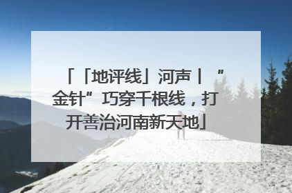 「地评线」河声丨“金针”巧穿千根线，打开善治河南新天地