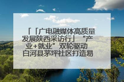 「广电融媒体高质量发展陕西采访行」“产业+就业”双轮驱动 白河县茅坪社区打造易地搬迁后扶新样本