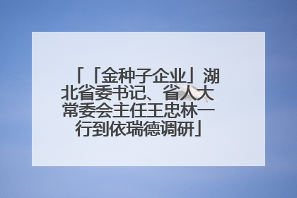 「金种子企业」湖北省委书记、省人大常委会主任王忠林一行到依瑞德调研