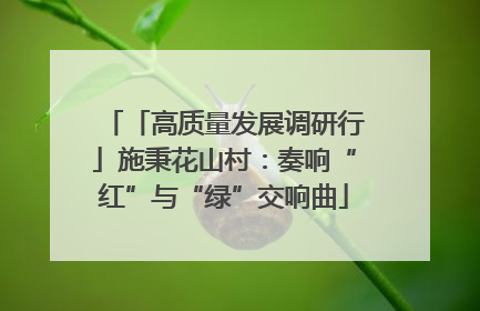 「高质量发展调研行」施秉花山村：奏响“红”与“绿”交响曲