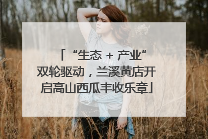 “生态 + 产业”双轮驱动，兰溪黄店开启高山西瓜丰收乐章