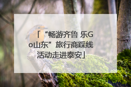 “畅游齐鲁 乐Go山东”旅行商踩线活动走进泰安