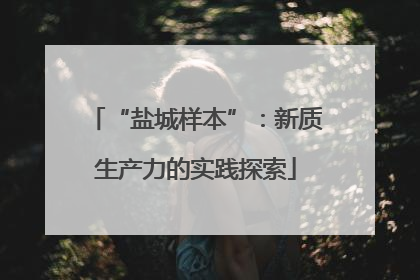 “盐城样本”：新质生产力的实践探索