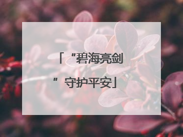 “碧海亮剑”守护平安