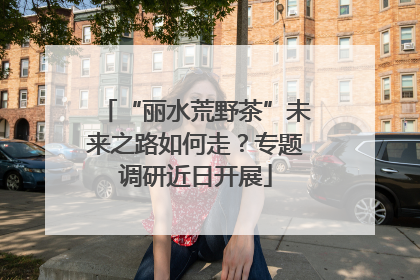 “丽水荒野茶”未来之路如何走？专题调研近日开展