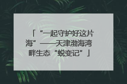 “一起守护好这片海”——天津渤海湾畔生态“蜕变记”