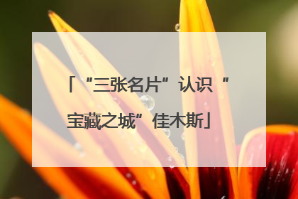 “三张名片”认识“宝藏之城”佳木斯