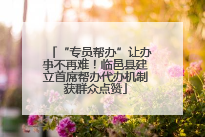 “专员帮办”让办事不再难！临邑县建立首席帮办代办机制获群众点赞