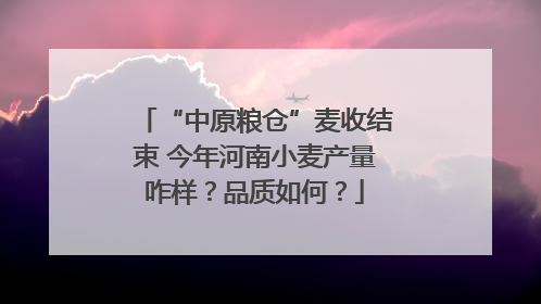 “中原粮仓”麦收结束 今年河南小麦产量咋样？品质如何？
