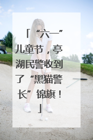 “六一”儿童节，亭湖民警收到了“黑猫警长”锦旗！