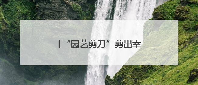 “园艺剪刀”剪出幸福枝桠，先贤苑片区工会小组携手扮靓家园
