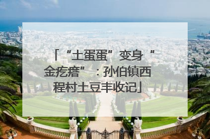 “土蛋蛋”变身“金疙瘩”：孙伯镇西程村土豆丰收记