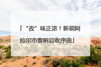 “孜”味正浓！新疆阿拉尔市奏响夏收序曲