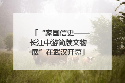 “家国信史——长江中游简牍文物展”在武汉开幕