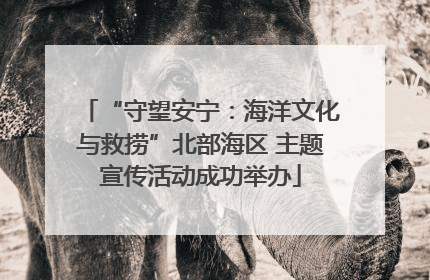 “守望安宁：海洋文化与救捞”北部海区 主题宣传活动成功举办