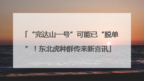 “完达山一号”可能已“脱单”！东北虎种群传来新喜讯