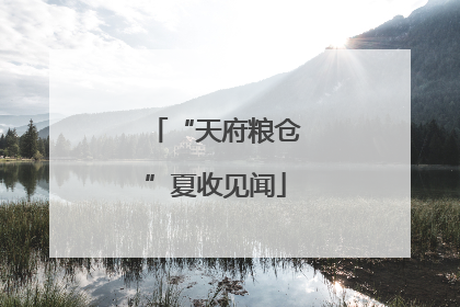 “天府粮仓”夏收见闻