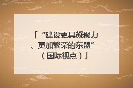 “建设更具凝聚力、更加繁荣的东盟”（国际视点）