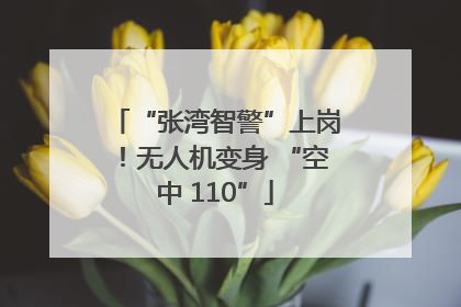 “张湾智警”上岗！无人机变身 “空中 110”