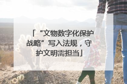 “文物数字化保护战略”写入法规，守护文明需担当