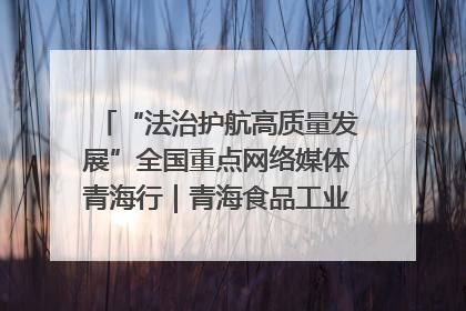 “法治护航高质量发展”全国重点网络媒体青海行｜青海食品工业协会：架起“青字号”美食的产业化桥梁