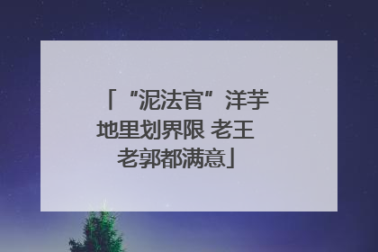 “泥法官”洋芋地里划界限 老王老郭都满意