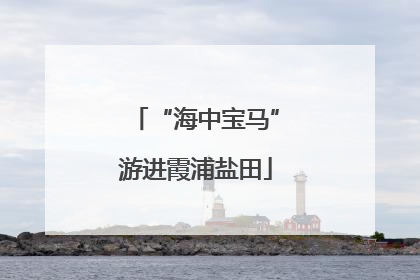 “海中宝马”游进霞浦盐田