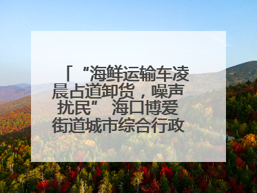 “海鲜运输车凌晨占道卸货，噪声扰民” 海口博爱街道城市综合行政执法中队：将联合交警加强长堤路一带巡逻