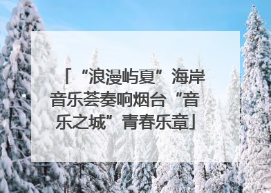 “浪漫屿夏”海岸音乐荟奏响烟台“音乐之城”青春乐章