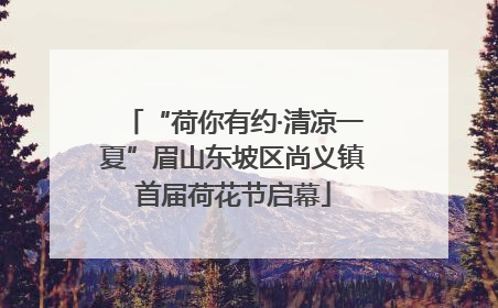 “荷你有约·清凉一夏”眉山东坡区尚义镇首届荷花节启幕