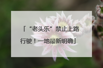 “老头乐”禁止上路行驶！一地最新明确