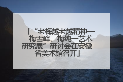 “老梅越老越精神——梅雪峰、梅纯一艺术研究展”研讨会在安徽省美术馆召开