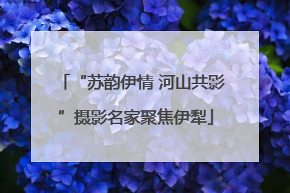 “苏韵伊情 河山共影”摄影名家聚焦伊犁