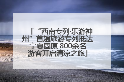 “西南专列·乐游神州”首趟旅游专列抵达宁夏固原 800余名游客开启清凉之旅