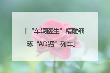 “车辆医生”精雕细琢“AD钙”列车