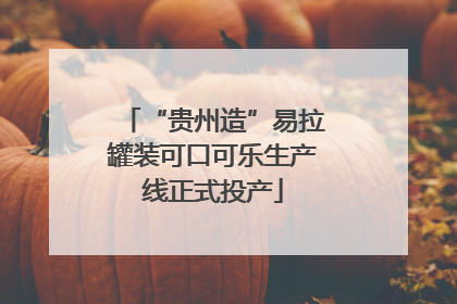 “贵州造”易拉罐装可口可乐生产线正式投产