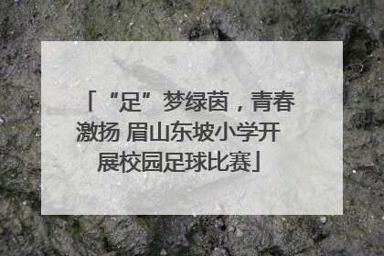 “足”梦绿茵，青春激扬 眉山东坡小学开展校园足球比赛