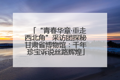 “青春华章·重走西北角”采访团探秘甘肃省博物馆：千年珍宝诉说丝路辉煌