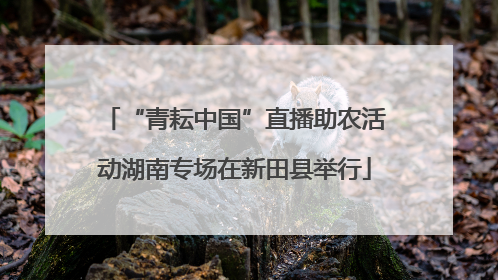 “青耘中国”直播助农活动湖南专场在新田县举行