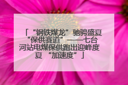 “钢铁煤龙”驰骋盛夏 “保供赛道”——七台河站电煤保供跑出迎峰度夏 “加速度”