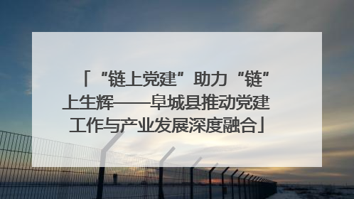 “链上党建”助力“链”上生辉——阜城县推动党建工作与产业发展深度融合