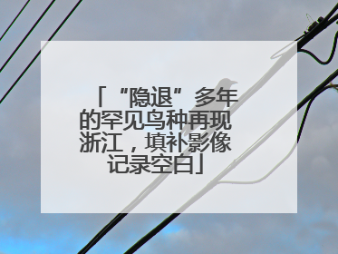 “隐退”多年的罕见鸟种再现浙江，填补影像记录空白