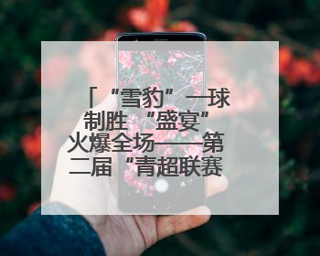 “雪豹”一球制胜 “盛宴”火爆全场——第二届“青超联赛”第二轮西宁主场比赛见闻