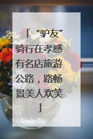 “驴友”骑行在孝感有名店旅游公路，路畅景美人欢笑