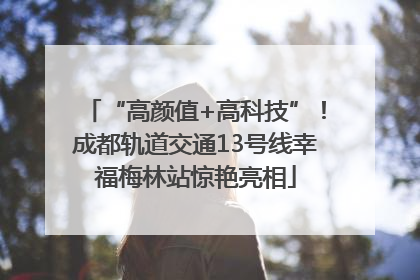 “高颜值+高科技”！成都轨道交通13号线幸福梅林站惊艳亮相