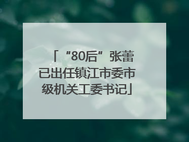 “80后”张蕾已出任镇江市委市级机关工委书记