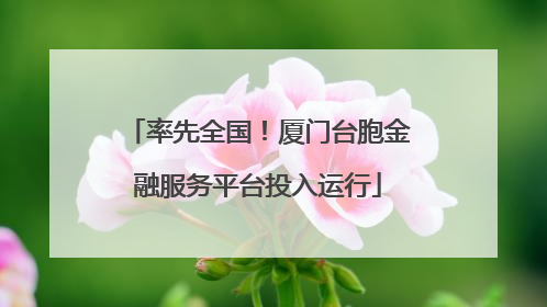 率先全国！厦门台胞金融服务平台投入运行